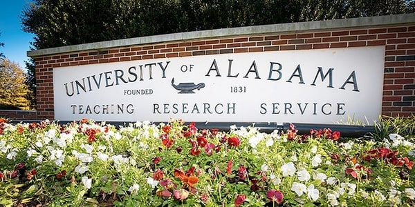 منحة جامعة ألاباما للحصول على البكالوريوس في الولايات المتحدة