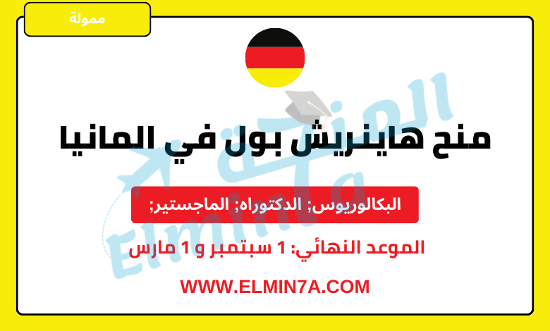 منحة هاينريش بول Heinrich Boll للدراسة في ألمانيا (ممولة)