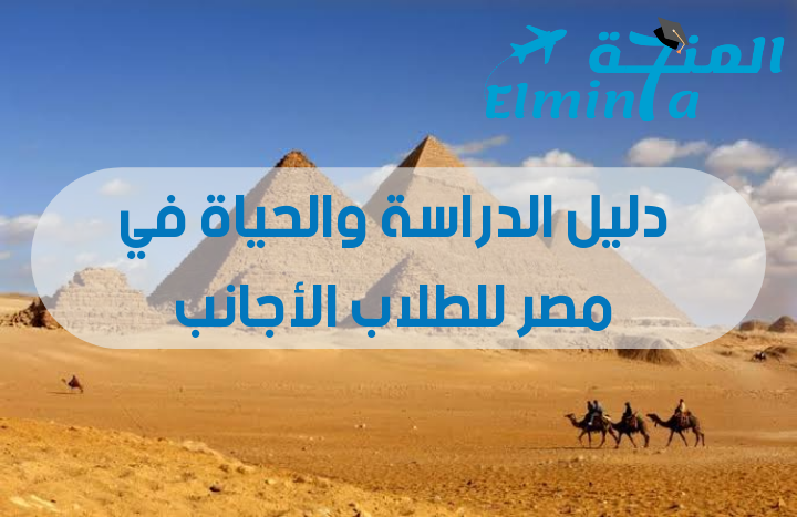 دليل الدراسة والحياة في مصر للطلاب الأجانب