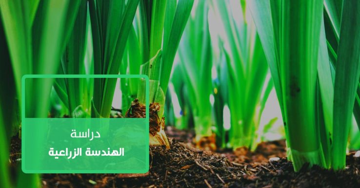 الهندسة الزراعية | كل ما تريد معرفته عن تخصص الهندسة الزراعية