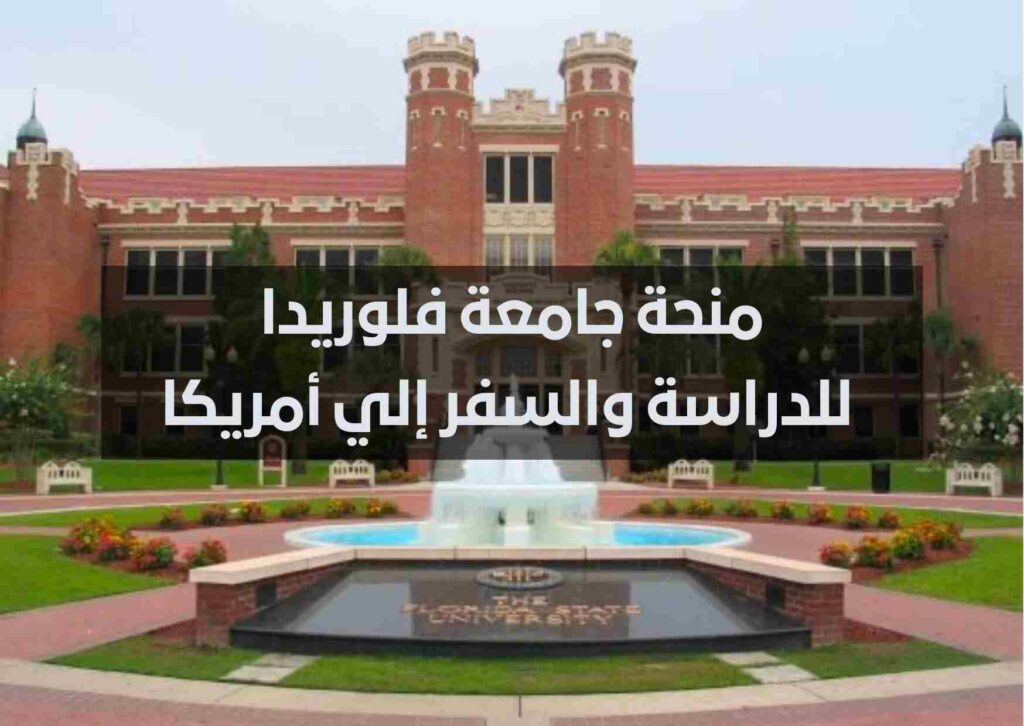 منحة جامعة جنوب فلوريدا للحصول على البكالوريوس في الولايات المتحدة الأمريكية 2023 | ممولة