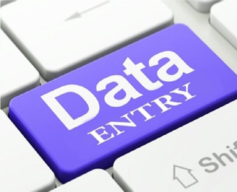 Data entry - Financial and tax advisory company