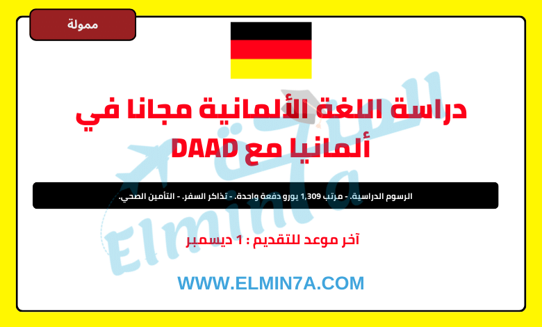 منح DAAD الصيفية لدراسة اللغة في ألمانيا | ممولة بالكامل