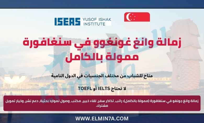 زمالة وانغ غونغوو في سنغافورة 2025 | ممولة بالكامل