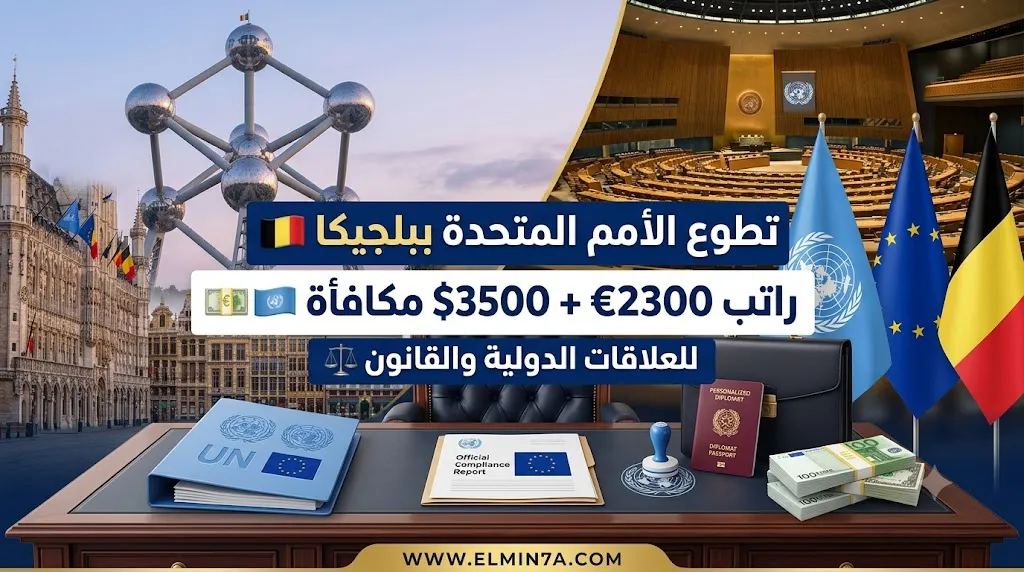 فرصة تطوع: مساعد التقارير والامتثال للاتحاد الأوروبي – بروكسل، بلجيكا 2026 (برنامج متطوعي الأمم المتحدة)