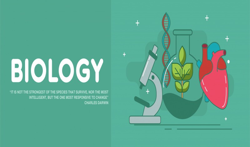 البيولوجيا – علم الأحياء : كل ما تريد معرفته عن تخصص البيولوجيا
