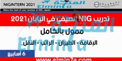 فرصة التقديم في تدريب NIG الصيفي في اليابان 2021 (ممولة بالكامل)