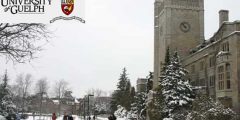 منحة جامعة غيلف لدراسة البكالوريوس في كندا 2021