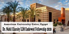 منحة زمالة دكتور نبيل العربي لدراسة الماجستير في الجامعة الأمريكية بالقاهرة 2021