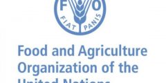 برنامج التدريب الداخلي في منظمة الأغذية و الزراعة للأمم المتحدة FAO | ممولة بالكامل