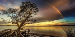 فرصة التقديم في مسابقة Capture Mother Nature Photo Contest والحصول على جائزة 600 دولار أمريكي من ViewBug لعام 2021