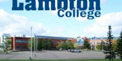 منحة Lambton College لدراسة البكالوريوس في كندا 2021 (ممولة جزئياً)