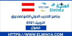 برنامج التدريب الدولي التابع لصندوق الأوبك 2021 في النمسا | ممول