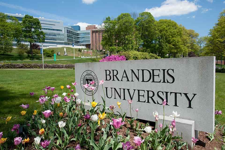 منحة جامعة برانديز لدراسة البكالوريوس بالولايات المتحدة الأمريكية 2021 (ممولة)