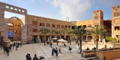 فرصة التقديم منحة OC-AUC الممولة بالكامل لدراسة البكالوريوس في الجامعة الأمريكية بالقاهرة 2021-2022