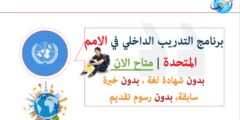 فرصة التقديم في برنامج الأمم المتحدة للتدريب الداخلي 2021 | ممول بالكامل