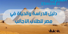 دليل الدراسة والحياة في مصر للطلاب الأجانب