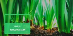 الهندسة الزراعية | كل ما تريد معرفته عن تخصص الهندسة الزراعية