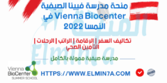منحة مدرسة فيينا الصيفية Vienna Biocenter في النمسا 2021 | ممولة بالكامل
