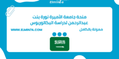 منحة جامعة الأميرة نورة بنت عبدالرحمن لدراسة البكالوريوس في المملكة العربية السعودية | ممولة بالكامل