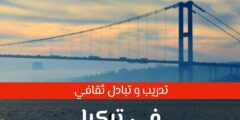برنامج التبادل والتدريب في تركيا مقدم من شركة Sky Global التركية ومعهد يونس إمرة 2022 | ممول بالكامل