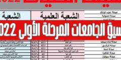 الأن نتيجة تنسيق المرحلة الاولى الثانوية العامة المصرية علمي 2022 – 2023 مع النسبة المئوية