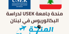 منحة جامعة USEK لدراسة البكالوريوس في لبنان 2022