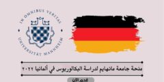 منحة جامعة مانهايم لدراسة البكالوريوس في ألمانيا 2022