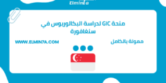 منحة GIC لدراسة البكالوريوس في سنغافورة | ممولة بالكامل