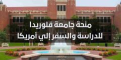 منحة جامعة جنوب فلوريدا للحصول على البكالوريوس في الولايات المتحدة الأمريكية 2023 | ممولة