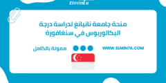 منحة جامعة نانيانغ التكنولوجية لدراسة درجة البكالوريوس في سنغافورة 2023 | ممولة بالكامل