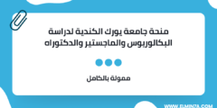 منحة جامعة يورك الكندية لدراسة البكالوريوس والماجستير والدكتوراه |ممولة بالكامل