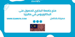 منح جامعة البخاري للحصول على البكالوريوس في ماليزيا | ممولة بالكامل