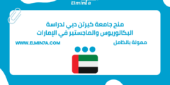 منح جامعة كيرتن دبي لدراسة البكالوريوس والماجستير في الإمارات | ممولة بالكامل