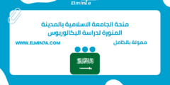 منحة الجامعة الاسلامية بالمدينة المنورة لدراسة البكالوريوس في المملكة العربية السعودية | ممولة بالكامل