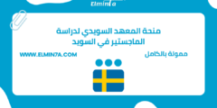 منحة المعهد السويدي لدراسة الماجستير في السويد | ممول بالكامل