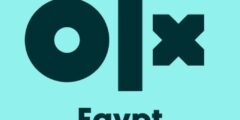 Content Moderator Agent-OLX Egypt