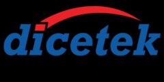 Data Entry Executive at Dicetek LLC