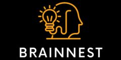 Intern/Junior Marketing Specialist (Remote Internship)-Brainnest
