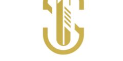 Senior Media Buyer at Stateya
