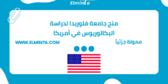 منح جامعة فلوريدا لدراسة البكالوريوس في أمريكا