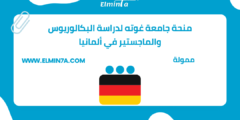 منحة جامعة غوته لدراسة البكالوريوس والماجستير في ألمانيا | ممولة