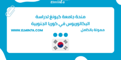 منحة جامعة كيونغ لدراسة البكالوريوس في كوريا الجنوبية | ممولة بالكامل