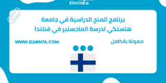 برنامج المنح الدراسية في جامعة هلسنكي لدرسة الماجستير في فنلندا | ممولة
