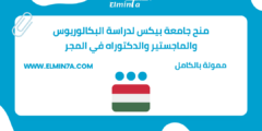 منح جامعة بيكس لدراسة البكالوريوس والماجستير والدكتوراه في المجر | ممولة بالكامل