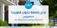 منح جامعة جنوب فلوريدا USF لدراسة البكالوريوس في الولايات المتحدة الأمريكية