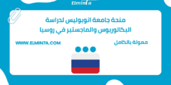 منحة جامعة انوبوليس لدراسة البكالوريوس والماجستير في روسيا | ممولة بالكامل