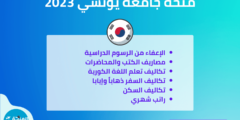 منحة جامعة يونسي لدراسة البكالوريوس والماجستير في كوريا الجنوبية | ممولة بالكامل