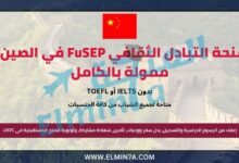 منحة التبادل الثقافي FuSEP في الصين | ممولة بالكامل