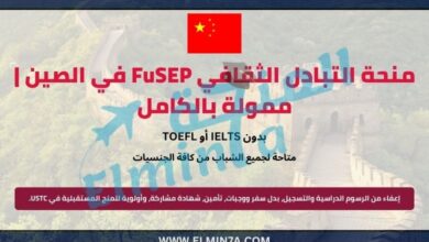 منحة التبادل الثقافي FuSEP في الصين | ممولة بالكامل